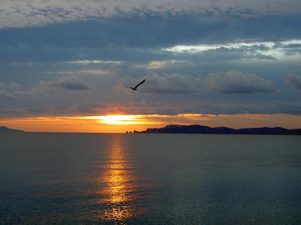 Hotel Lido Beach Hyeres Bagian luar foto